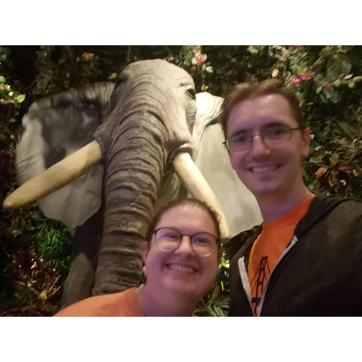Fine dining at the Rainforest Cafe in Nashville, TN