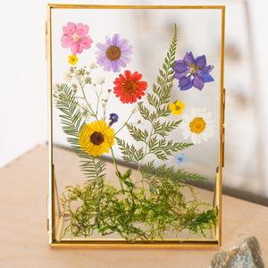 Pressed Flowers