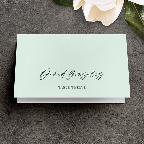 Zola Wedding Place Cards - Ivor