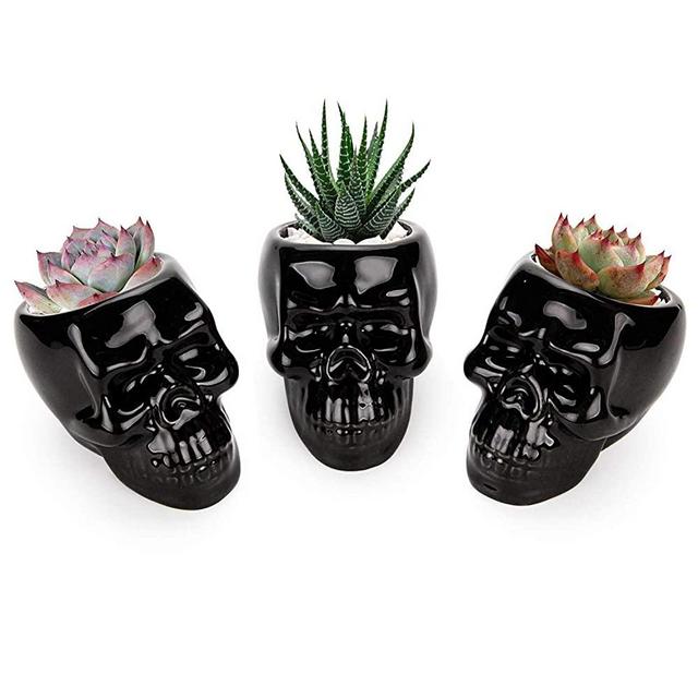 T4U Black Ceramic Skull Shaped Succulent Planter Pots Set of 3, Cute Cactus Plant Pot Creative Pen Pencil Holder for Home Office Desk Decoration Birthday Wedding