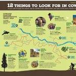 Cowiche Canyon Trailhead - Weikel
