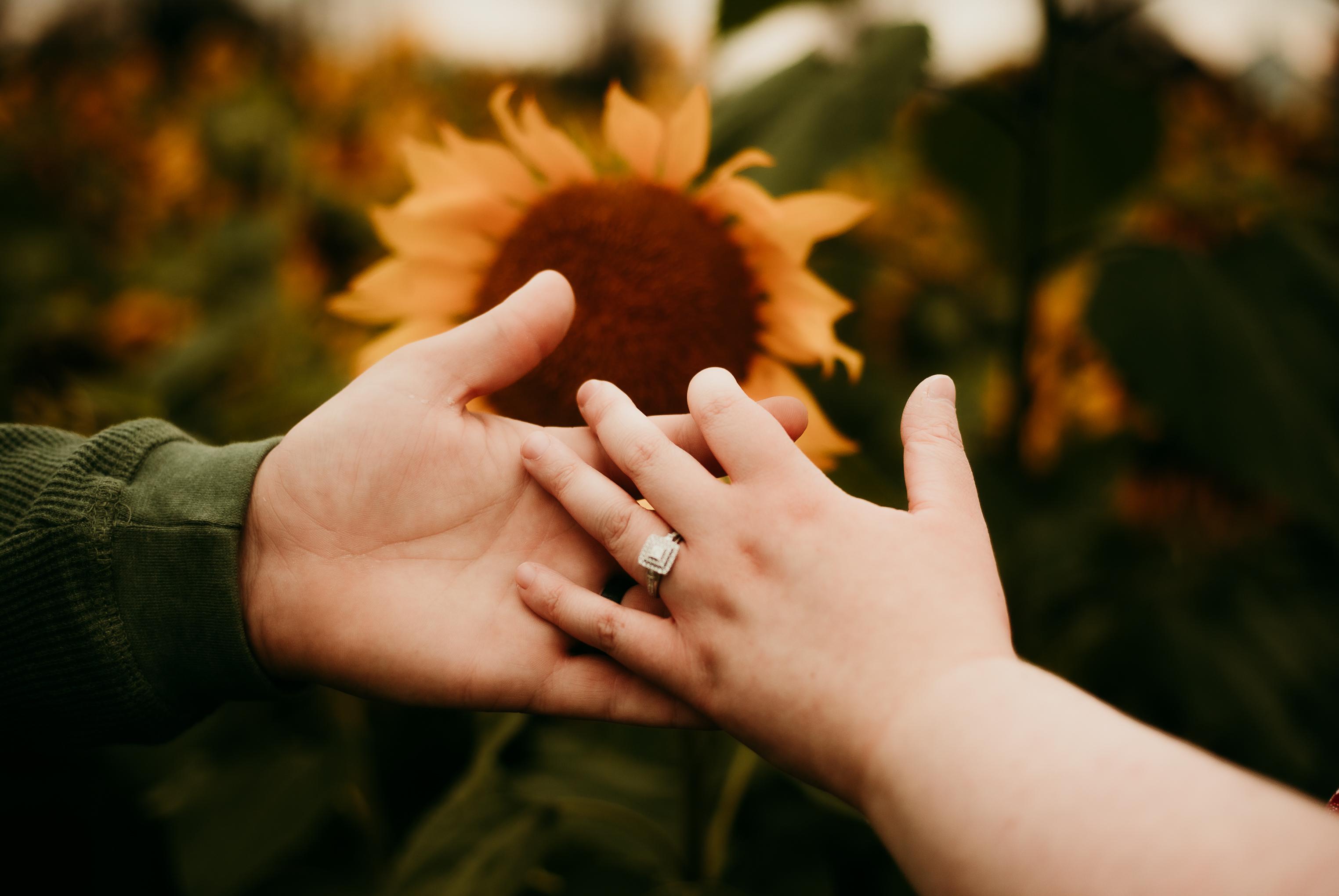 f1c4d6a3-bf8f-4aae-ab08-76b307eb9cb2