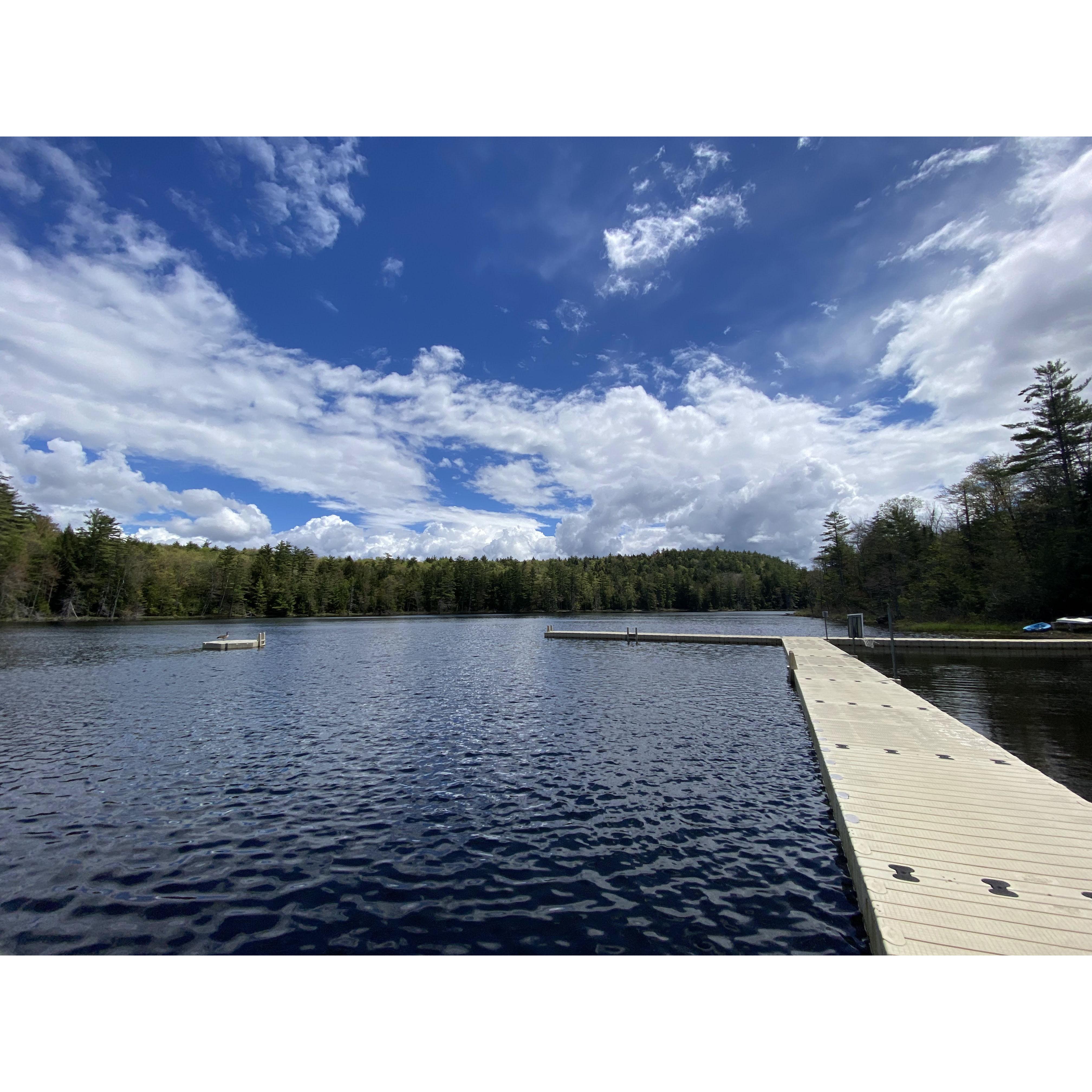Forest Lake dock
