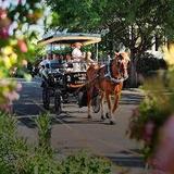 Old South Carriage Company