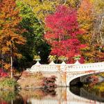Central Park
