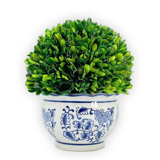 Galt International 9.5" Naturally Preserved Real Boxwood Ball in Hand-Painted Round Bulb Blue & White China Pot Planter Green Indoor Plant Home Decor (9.5" Tall Topiary)