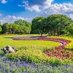 The Dallas Arboretum and Botanical Garden