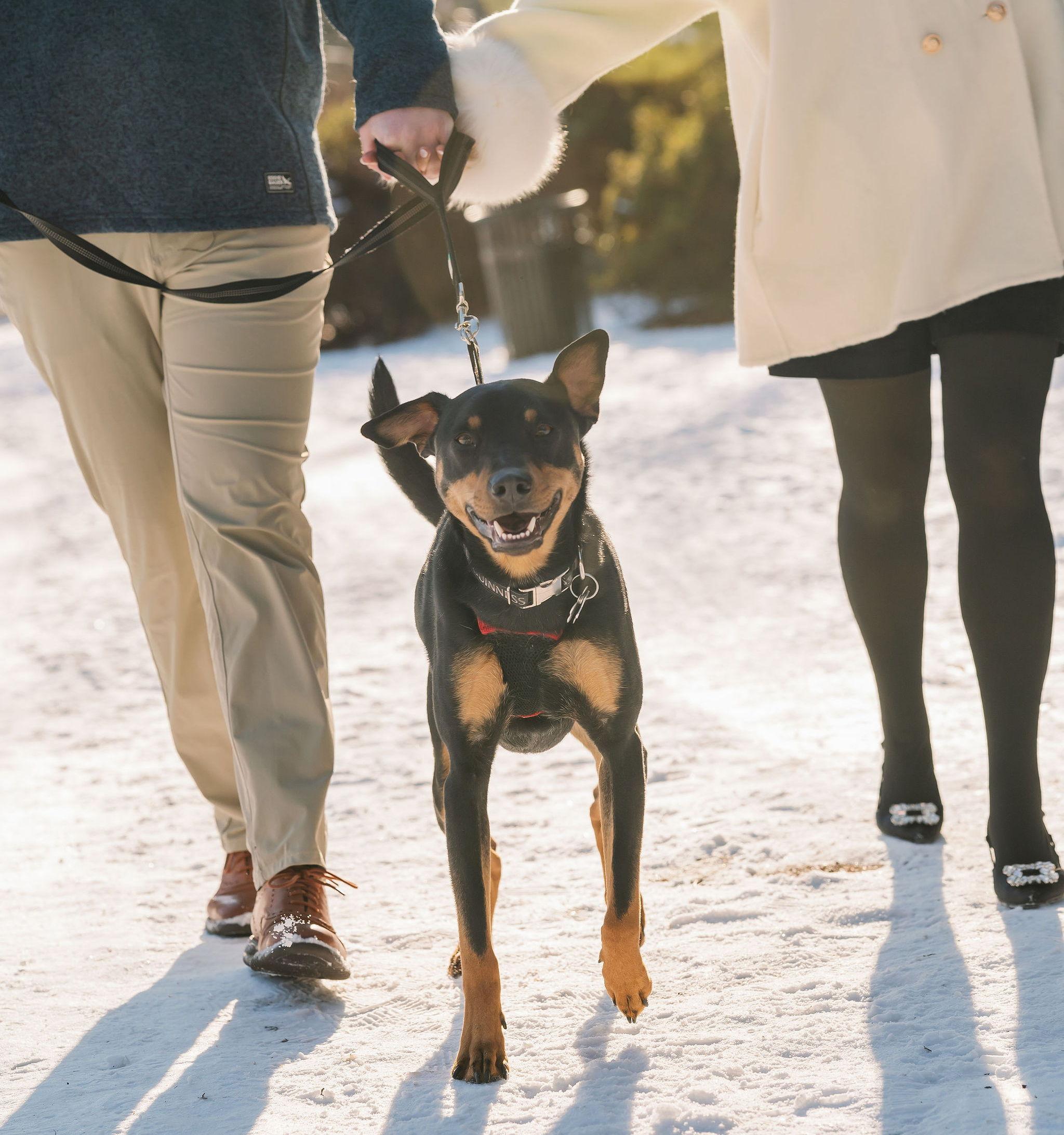 The Wedding Website of Samantha Smithies and Devlin Crane