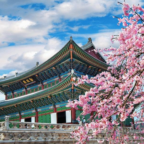 Our Honeymoon - South Korea