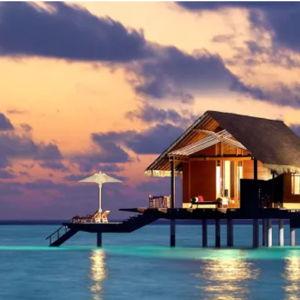 Honeymoon Fund