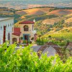 DAOU Family Estates