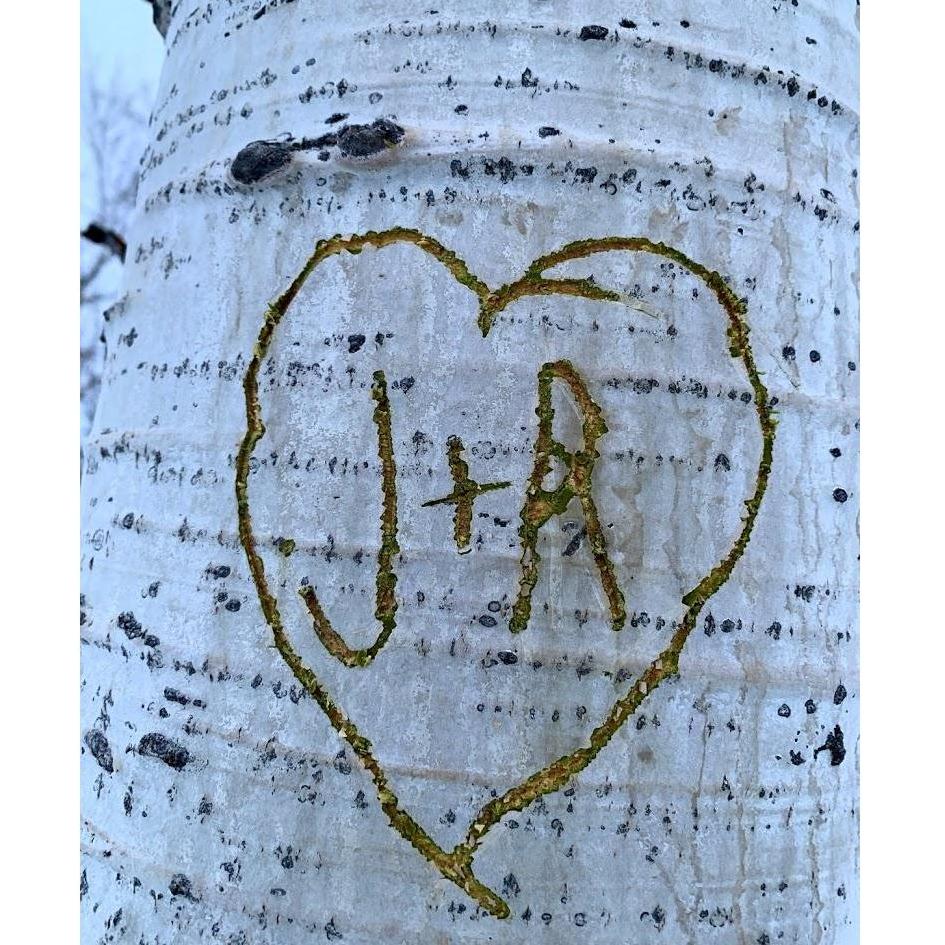 Here is the carving we made the night he proposed.:)