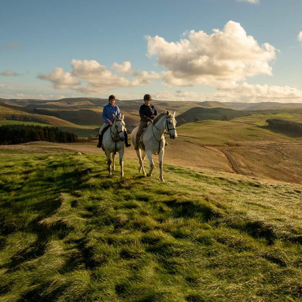 Honeymoon Horseback Riding