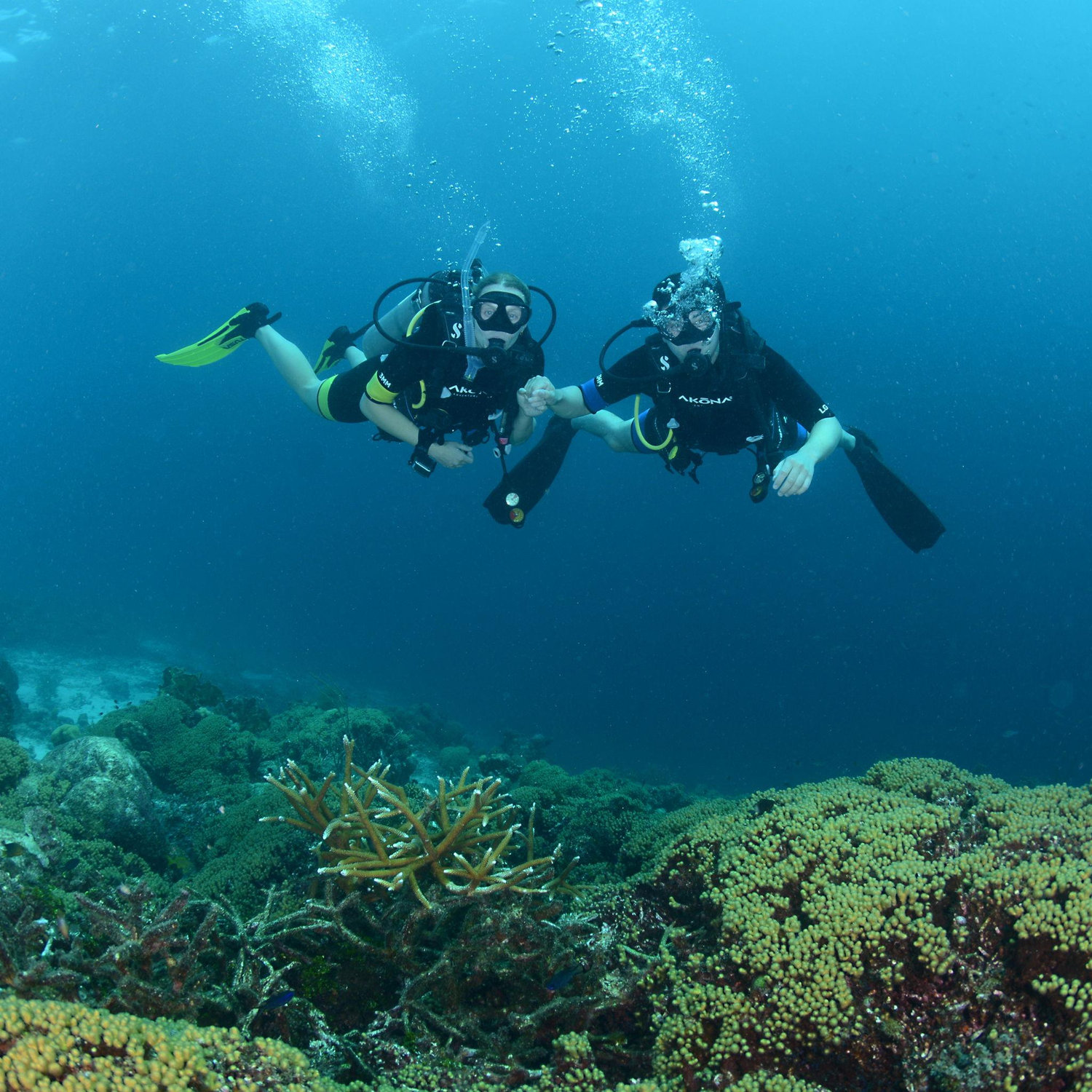 Diving in Curacao