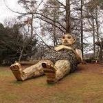 Bernheim Forest