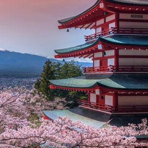 Japan Honeymoon Fund