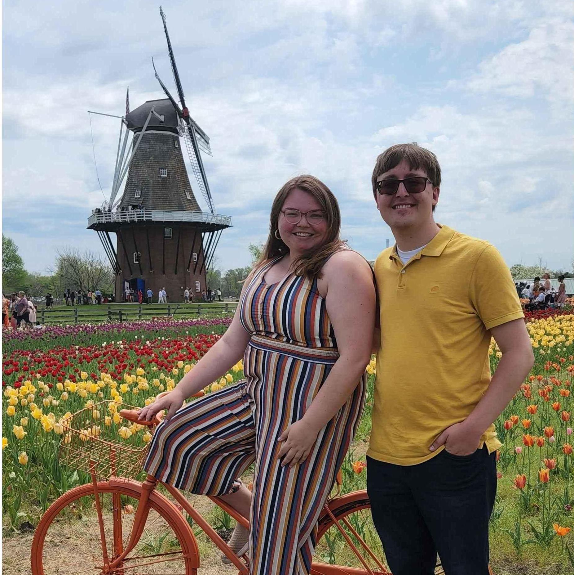 Tulip Festival in Holland, Michigan May 2022