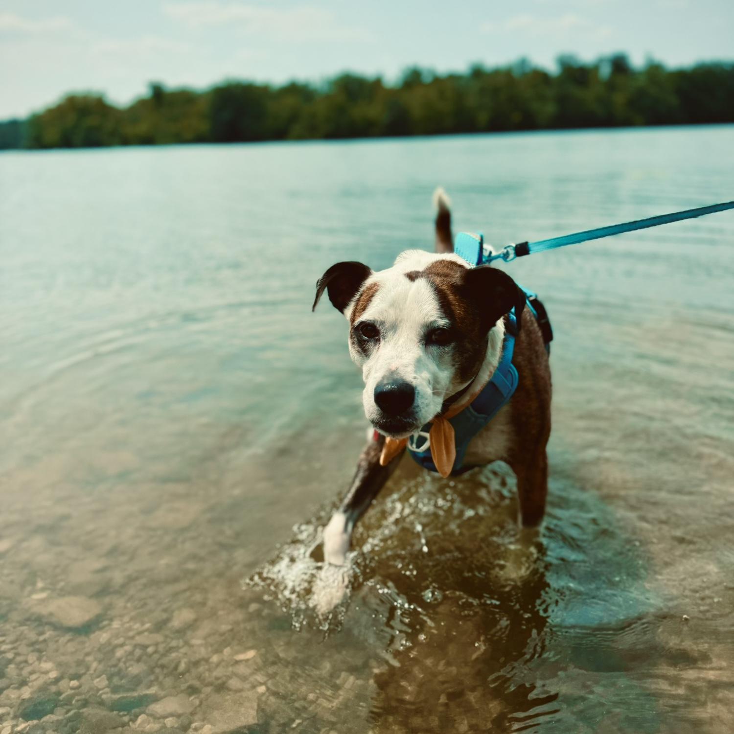 First lake day with mom & dad