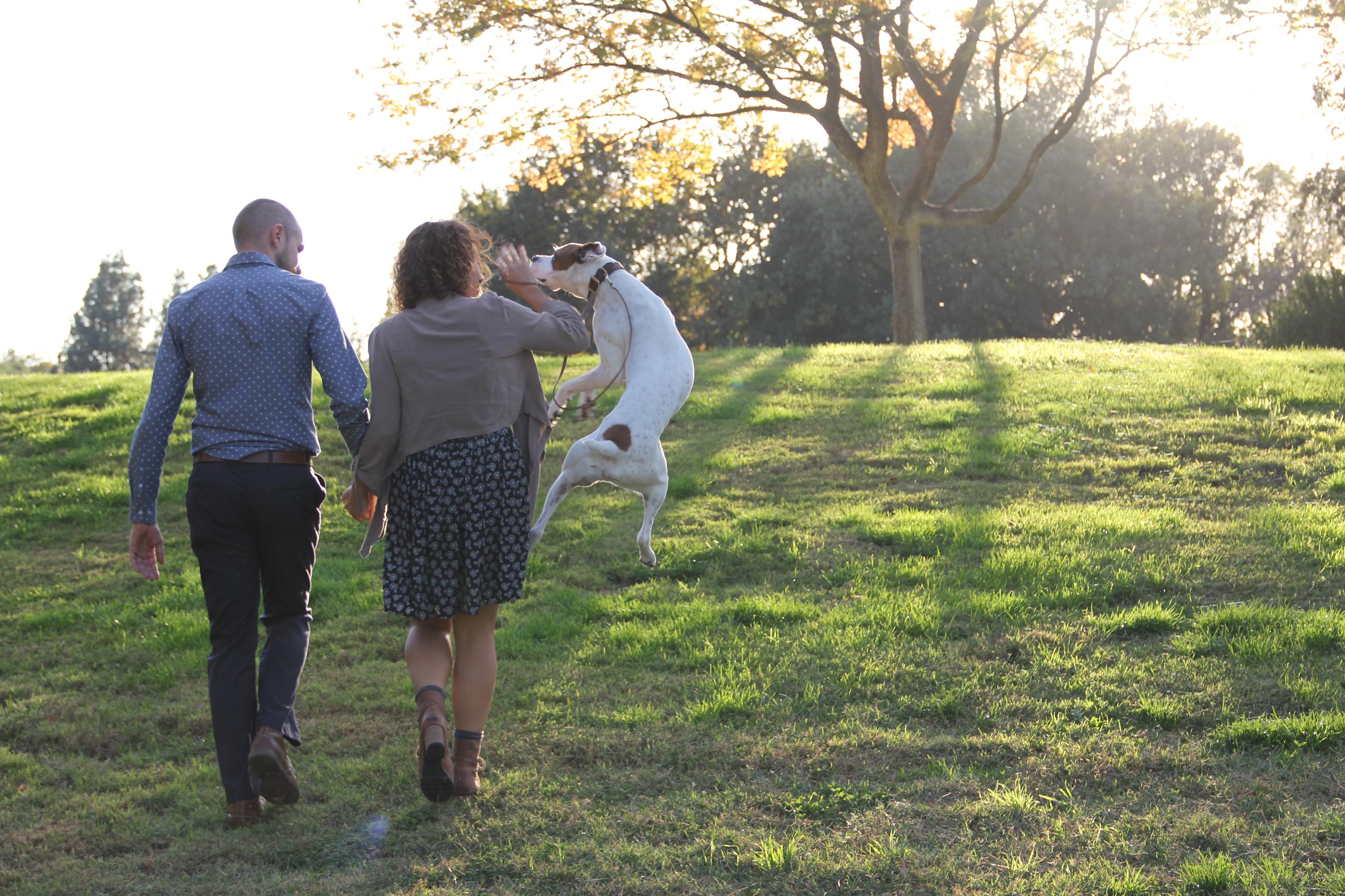 The Wedding Website of Ashley Walker and Max Jenkins