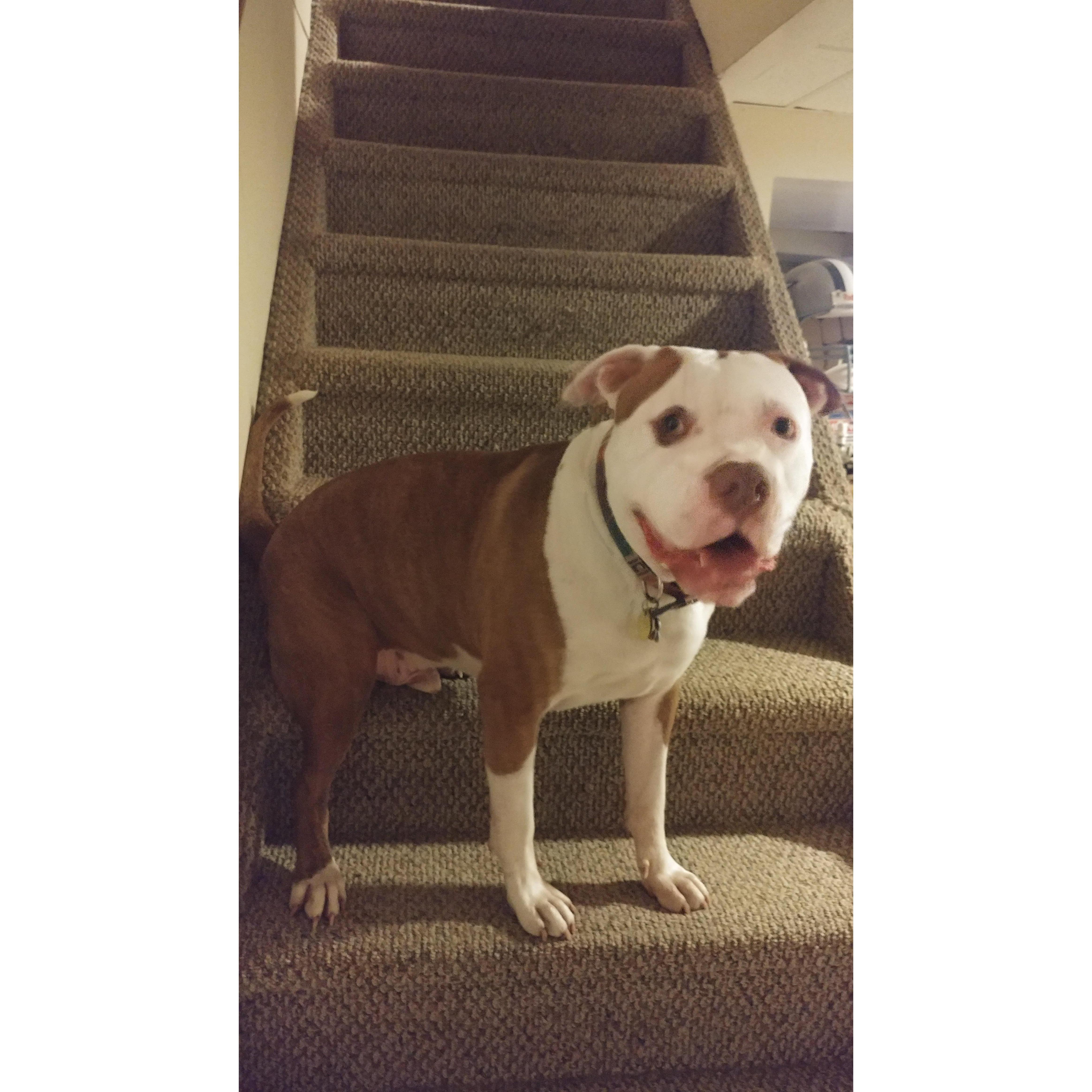We love to laugh at how cross-eyed Buck looks in this photo.