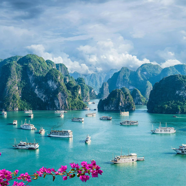 Vietnam Honeymoon Fund
