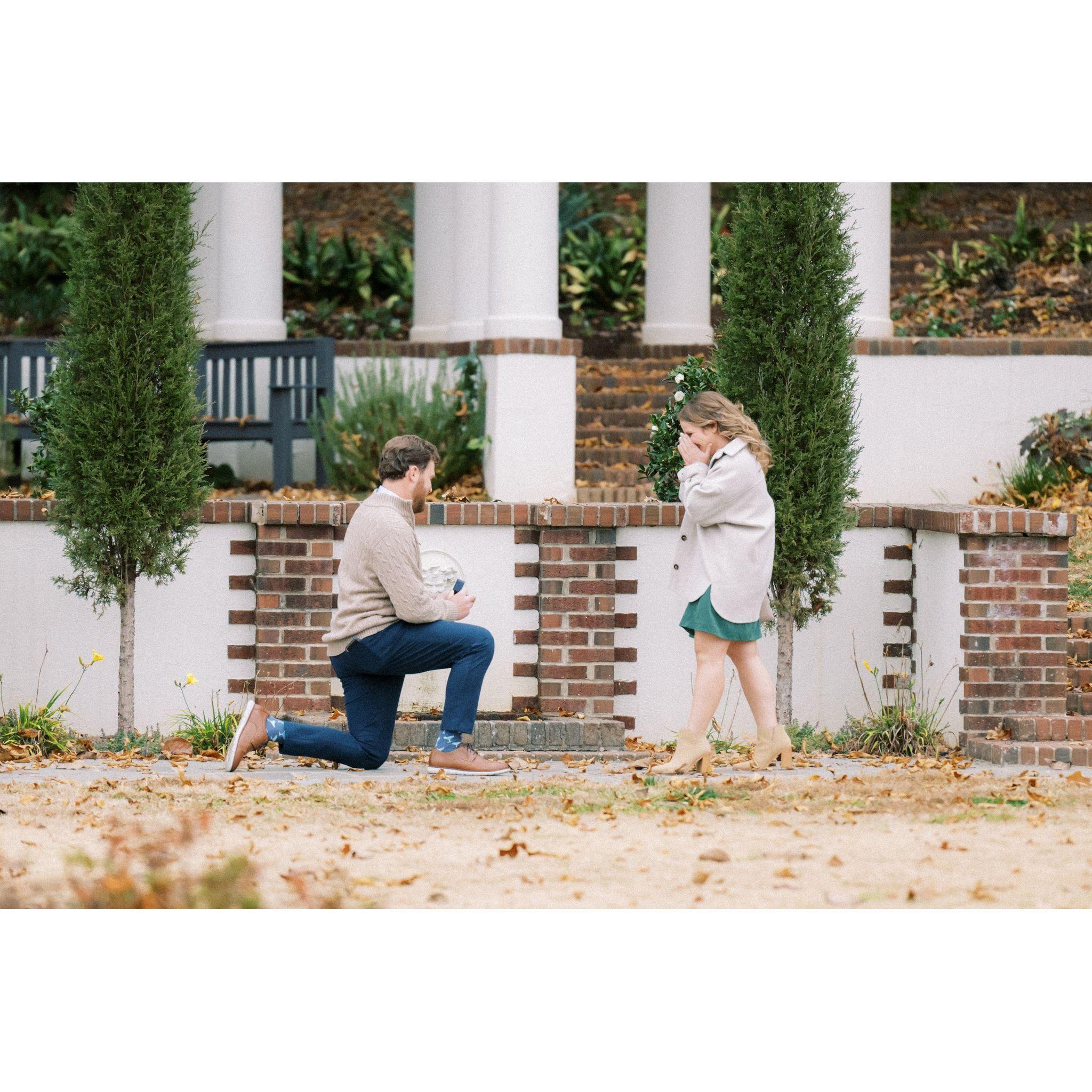 Nov. 2023

Engagement photos