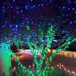 Amarillo Botanical Gardens