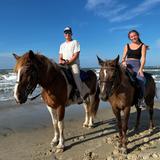 Equine Adventures