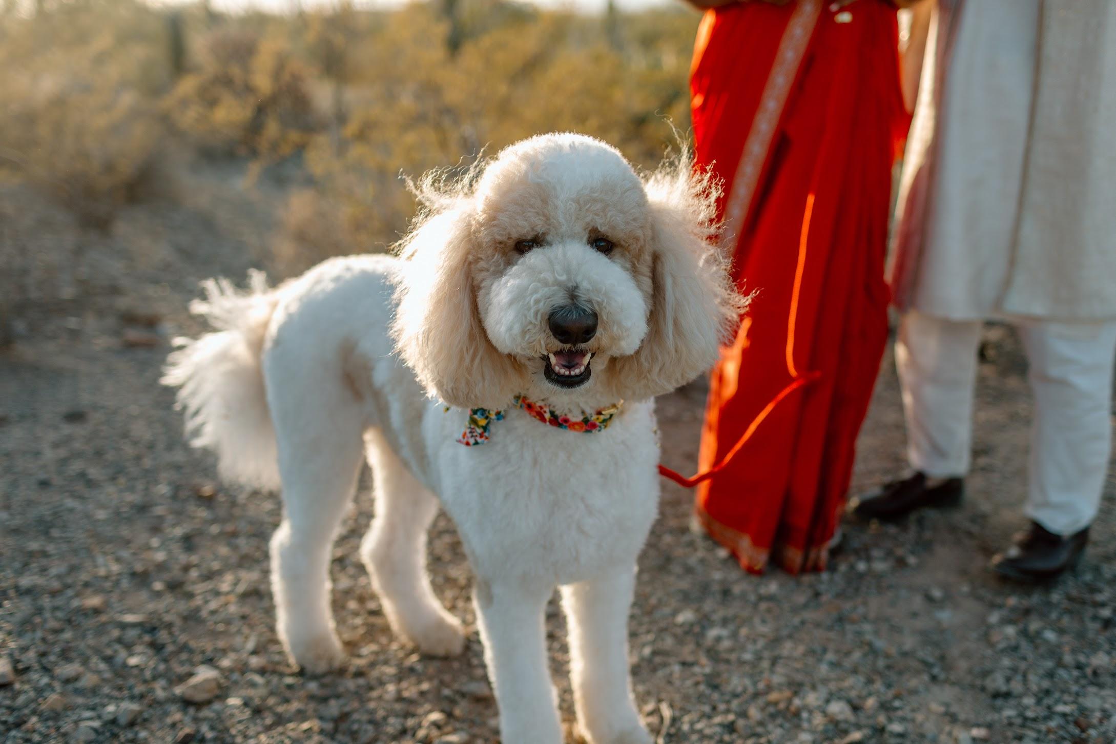 f1d8e175-58ac-4a1b-a284-5219451922b5