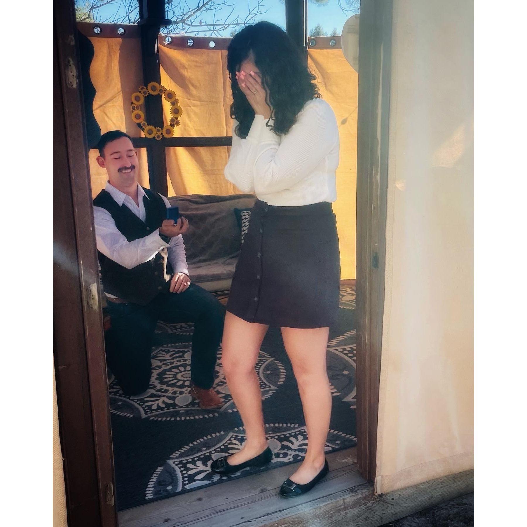 The Proposal