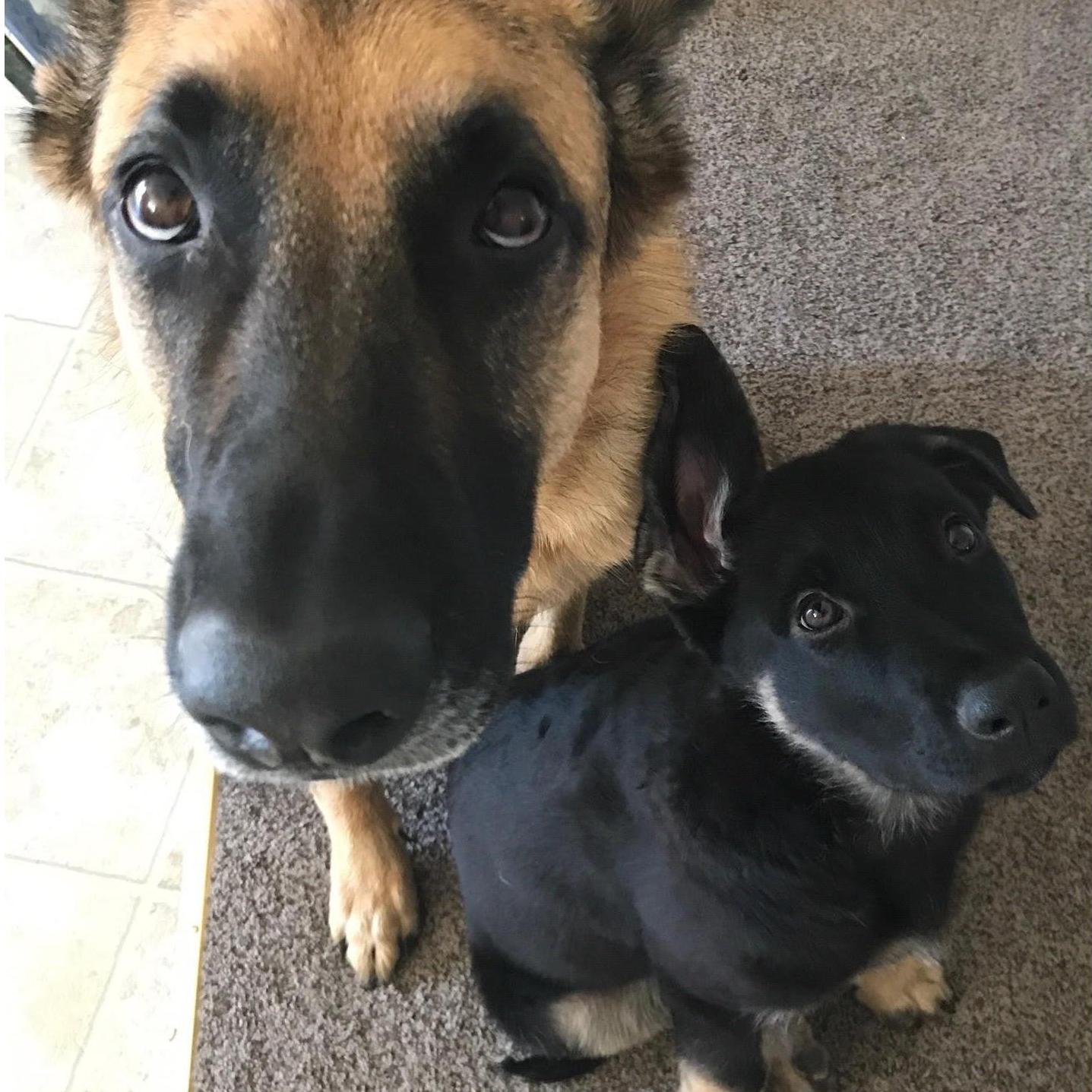 Zoe & Kylo