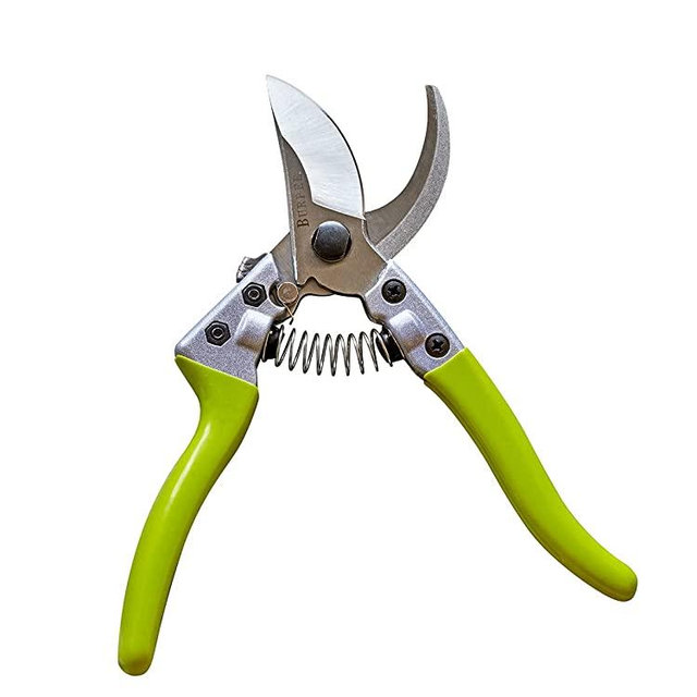 Burpee CR850 Bypass Pruner Pruning Shears-Long-Lasting Garden Tools 8.5 Inches