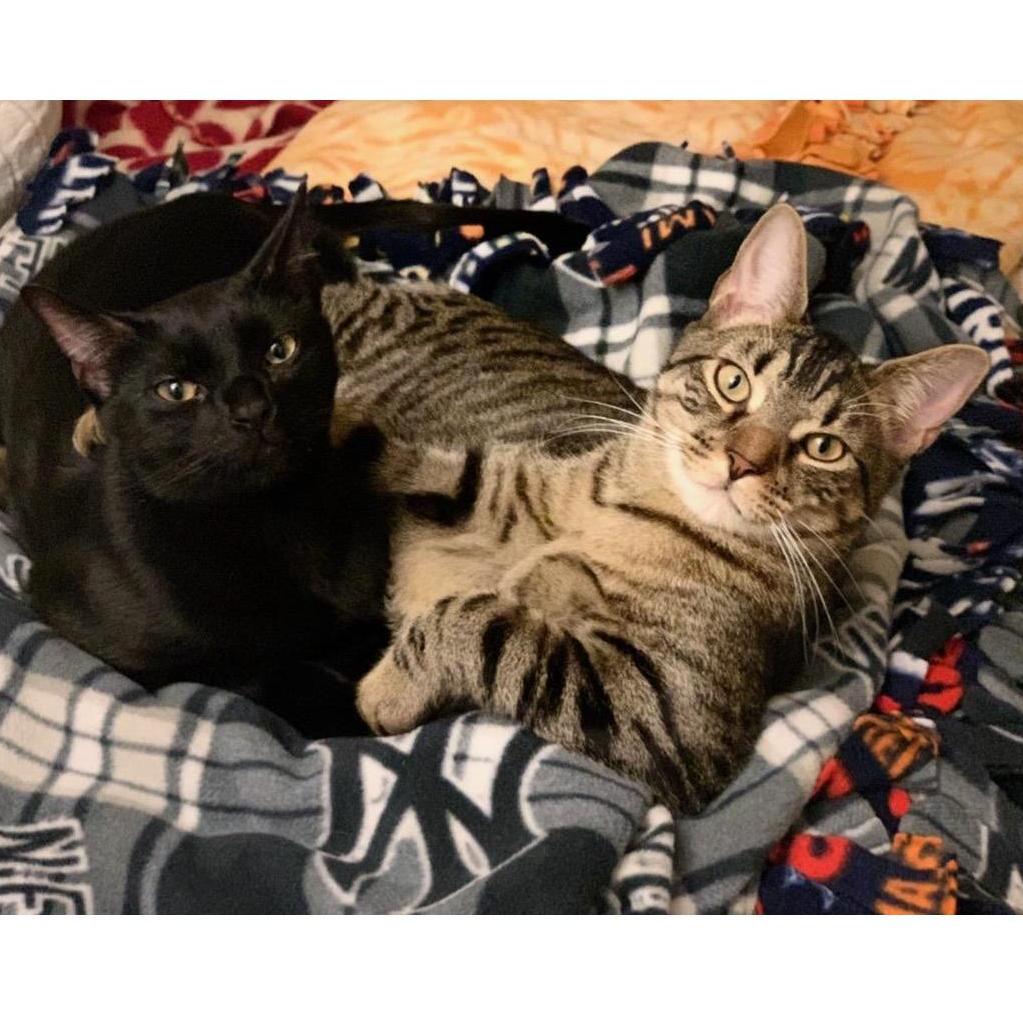 Romeo & Elroy the best brothers!!