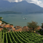 Wine Tasting at Domaso at Agriturismo Sorsasso