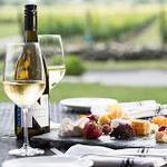 Newport Vineyards