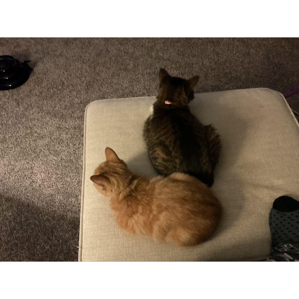 Starting to warm up to each other...