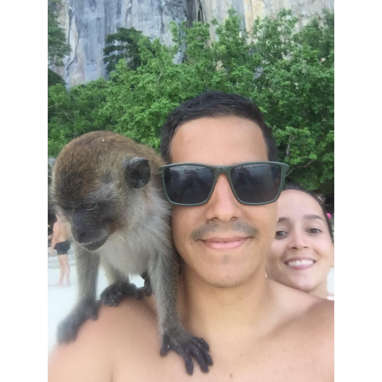 Monkeys!!