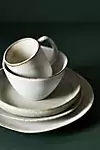 Levi Dinner Plates, Set of 4