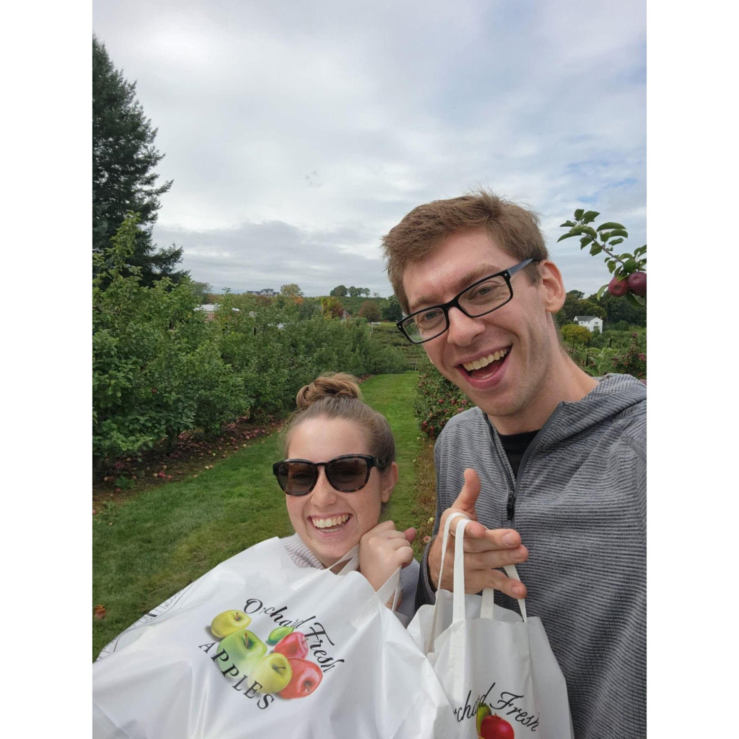 Apple Picking!