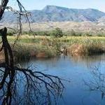 Pecks Lake