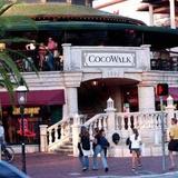 Coconut Grove