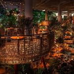 KOMODO Restaurant