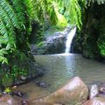 Maunawili Falls Hike