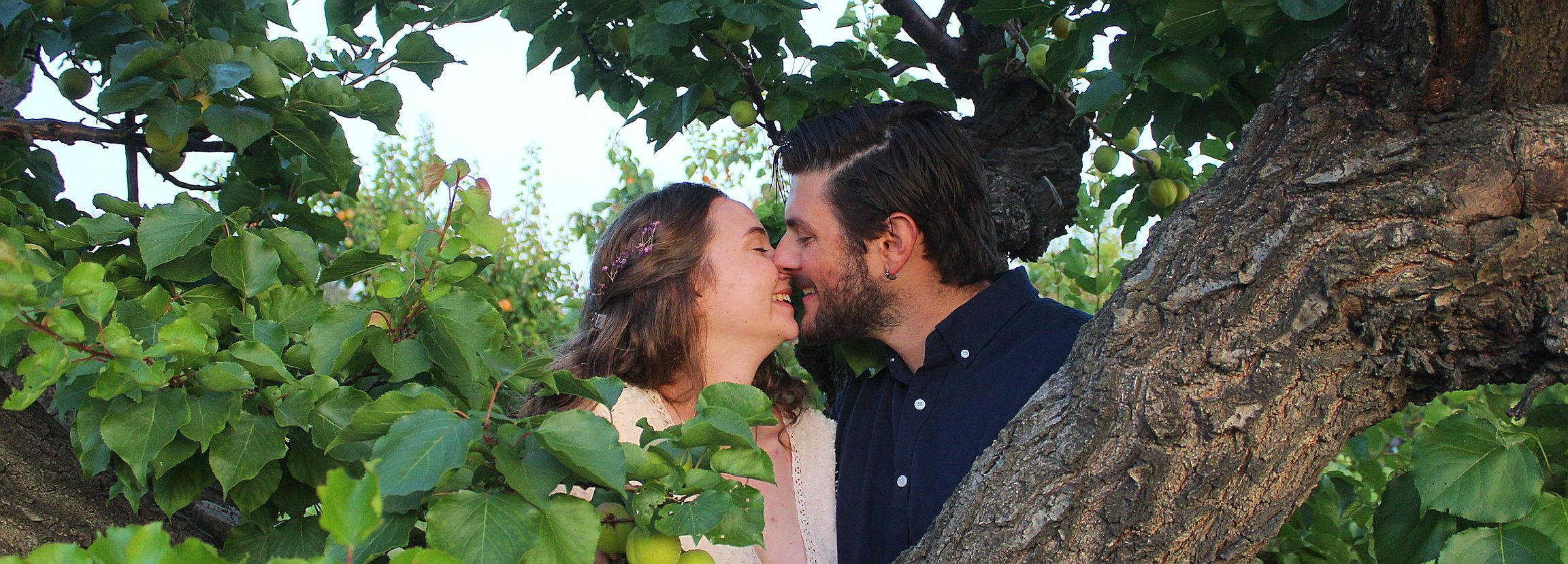 The Wedding Website of Abigail Nicholson and Mitchell Riggs