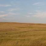 South Dakota