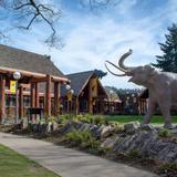 Museum of Natural and Cultural History