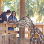 Wildlife World Zoo, Aquarium & Safari Park