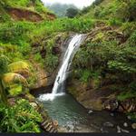 Concord Falls