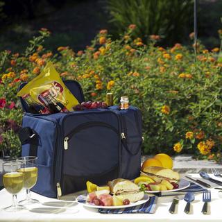 Malibu Picnic Tote