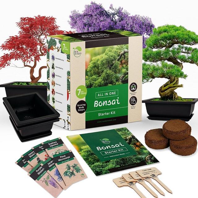 REALPETALED Bonsai Starter Kit – Japanese Bonsai Tree Kit with Bonsai Tools, 7 Bonsai Tree Seeds, Pots – Complete Grow Your Own Bonsai Tree Live Kit – Plant Lover Gifts Home Gifts for Men and Women
